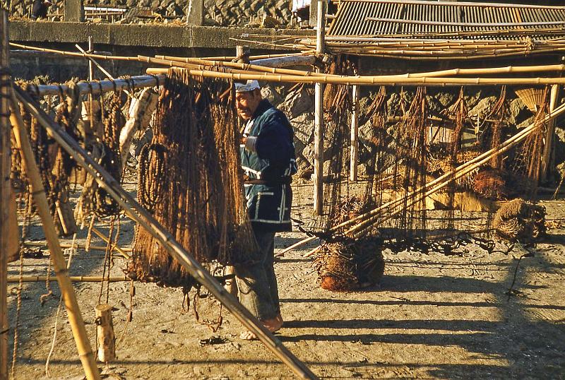 1952 Japan 093 Drying Nets.jpg